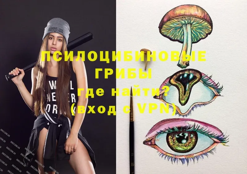 Псилоцибиновые грибы Psilocybine cubensis  Алдан 